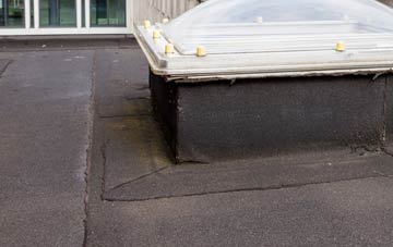 disadvantages of Ballymichael flat roofs